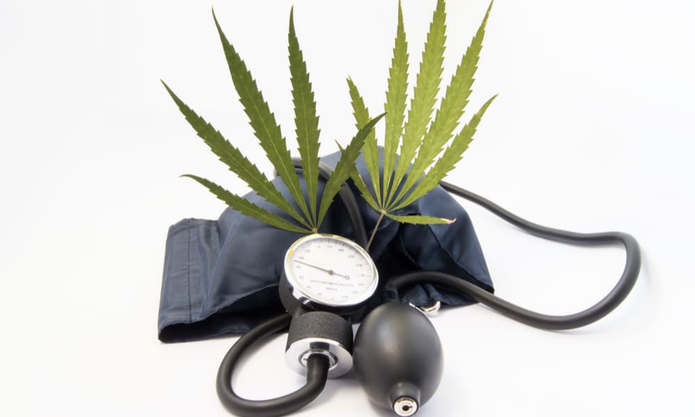 Weed Users Have Triple The Death Risk From High Blood Pressure According To New Study