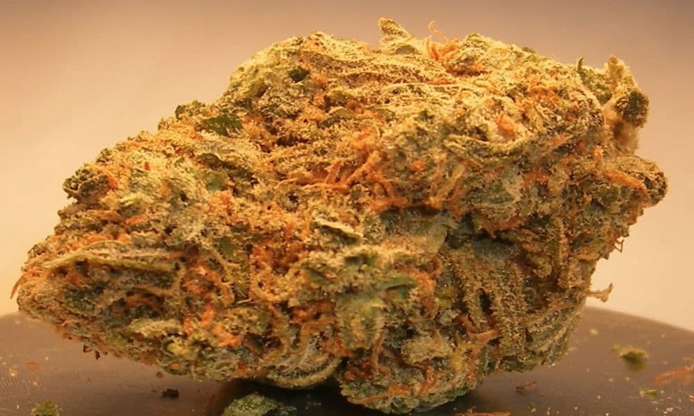 9 Best Weed Strains For An All-Nighter