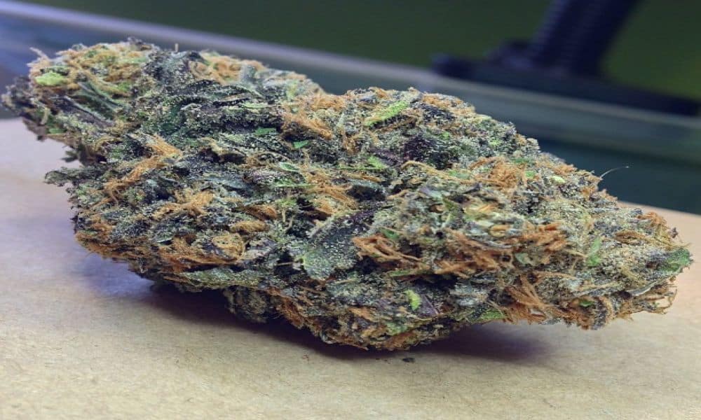10 Best Weed Strains for Paranoia