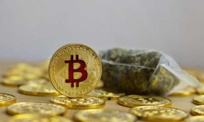 What Do Gold, Cannabis And Bitcoin Have In Common?