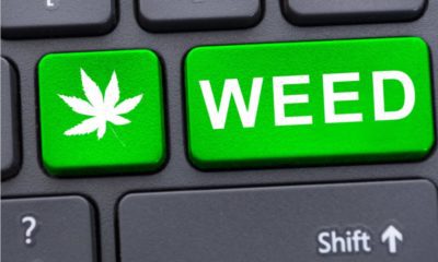 New Online Marketplace Makes Buying And Selling Legal Weed A Breeze