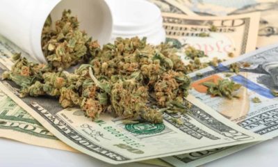 New Policy Forbids Marijuana Business Owners From Taking Out Loans