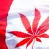 5 Canada Marijuana Bill Amendments That Could Impact Weed Businesses weed in china