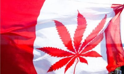 5 Canada Marijuana Bill Amendments That Could Impact Weed Businesses weed in china