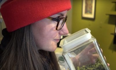 Canada Is Launching A Retail Cannabis Training Program