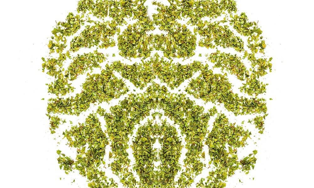 Watching Cannabis Art Time Lapses Is Mesmerizing