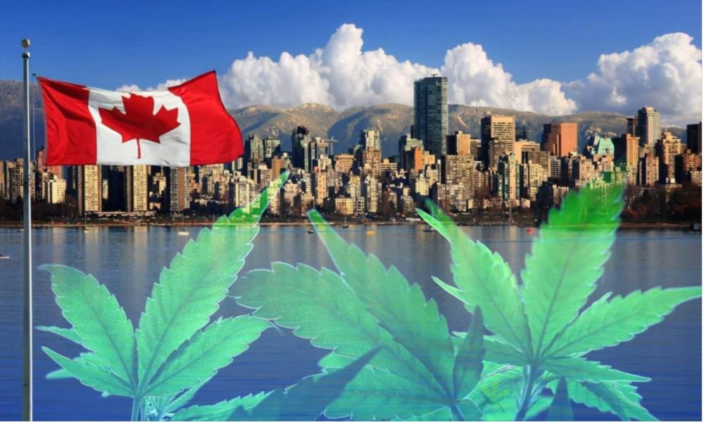 Cannabis Sales In Canada Are Expected To Pass $7 Billion In 2019