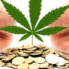 Investing In Marijuana Stocks? Investing In Cannabis Stocks? Here Are 3 Things You Need To Know