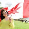 Ontario Cannabis Laws: From Consumers To Businesses