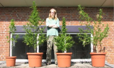 Pest Management Company Sponsors The Grow-Off Weed Contest