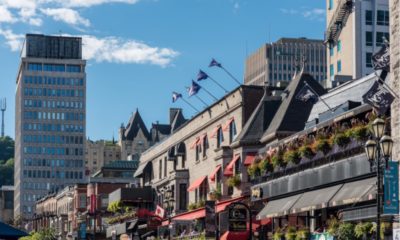 Quebec Cannabis Laws: From Consumers To Businesses