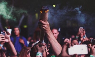Victorville Officials Refuse To Permit Weed At Chalice Festival