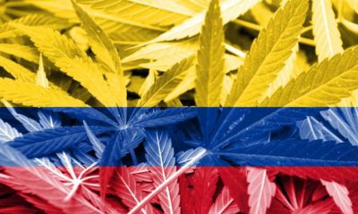 Canopy Growth Plans To Build A Latin American Cannabis Market