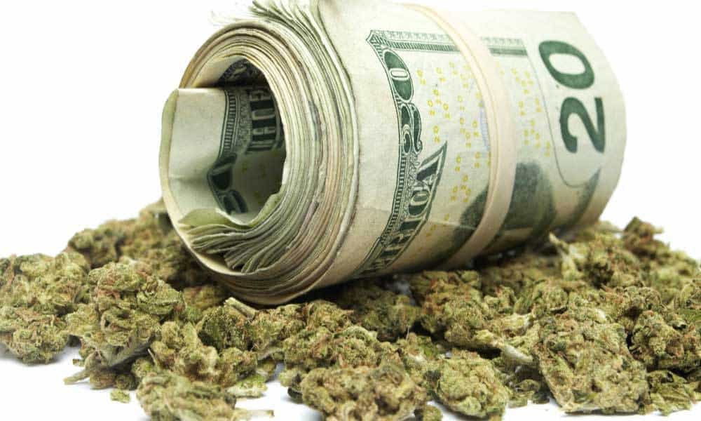 5 Challenges Plant-Touching Cannabis Companies Face