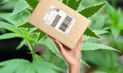 Baltimore Mailman Caught Delivering Weed During Postal Route
