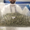 The 5 Biggest Legal Cannabis Grow Operations in the World