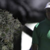 Bubba Watson Uses CBD Despite PGA Warning to Extend Pro Golf Career