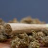 California Ad Campaign Targets Unlicensed Marijuana Dispensaries