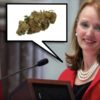 Candidate For Tennessee Governor Releases First Cannabis Campaign Ad