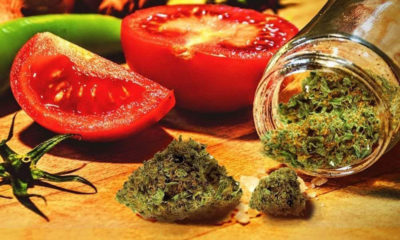 Cannabis Food Fair Cancelled To Avoid Violating State Laws