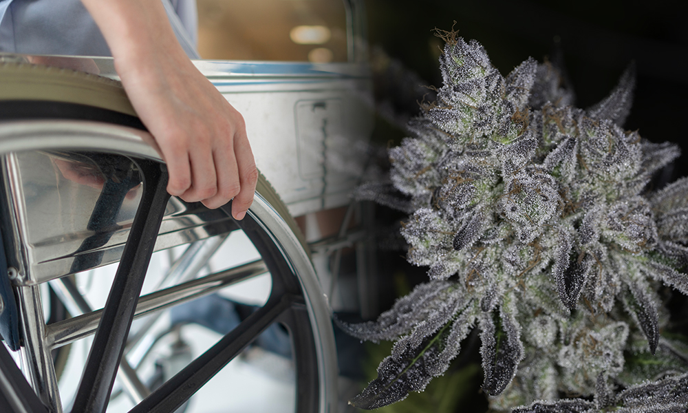 Cannabis Laws Challenged for Discriminating Against Disabled Persons