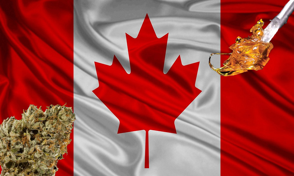 Canadian Cannabis Stocks Down on Legalization Day