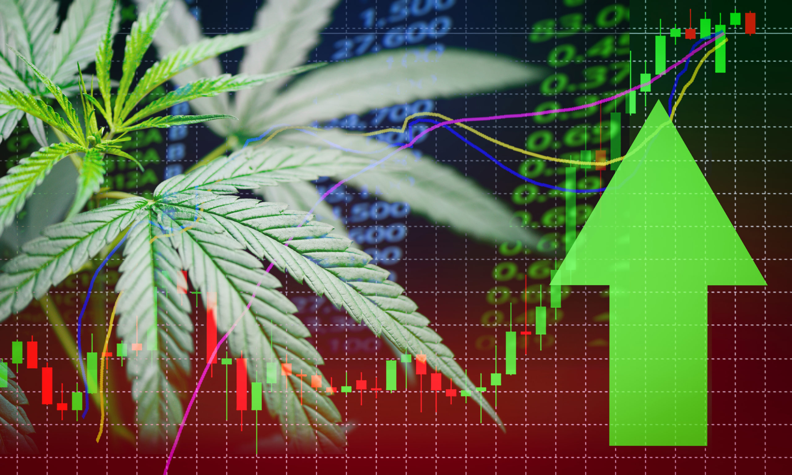 Cannabis Stocks Seem To Benefit From Biden Win and Legalization