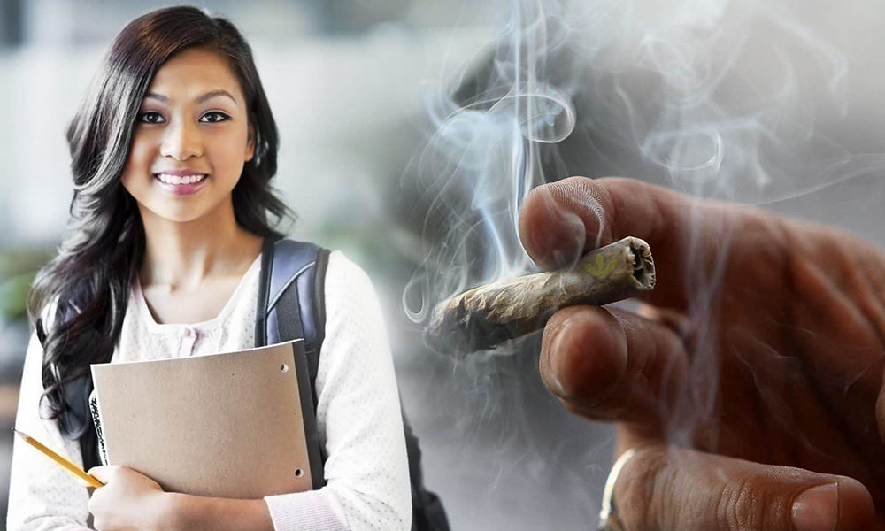11 Colleges With Cannabis Courses