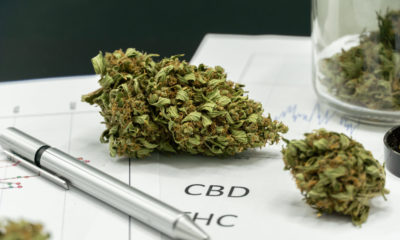 Colorado Pharmacy School Offering Grad School Education In Cannabis
