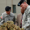Cannabis Helped A Combat Veteran Start His Own Weed Business
