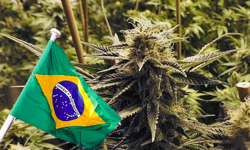 16 Countries With Emerging Legal Cannabis Markets