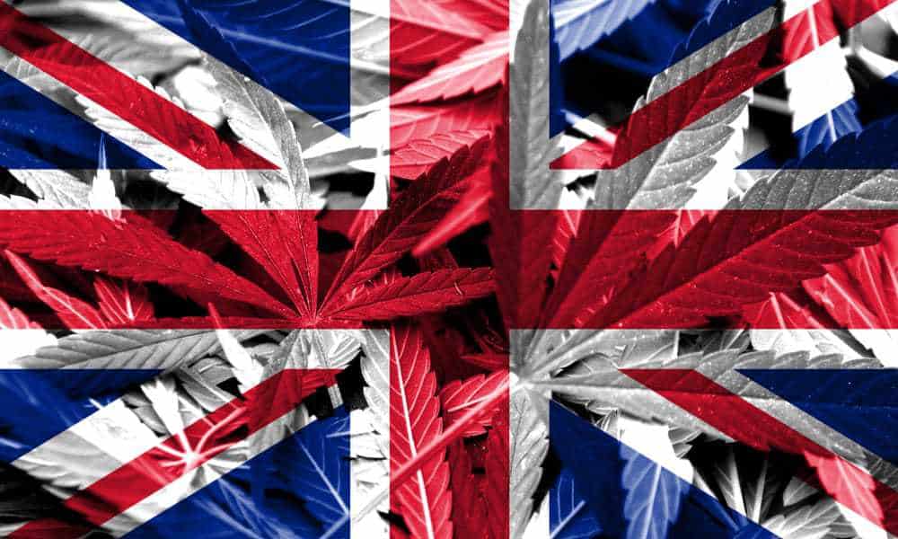 Top Countries Exporting Cannabis