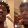 David Irving Announces Retirement by Smoking a Joint on Instagram