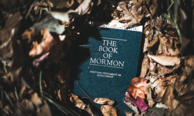 Do Modern Mormons Forbid Cannabis Use?