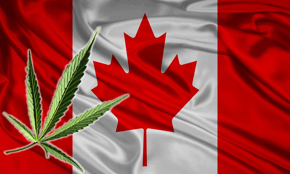 Does Legalization Turn the Population Into Potheads? Canada Says No