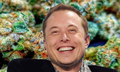 Elon Musk Smokes Joint On Joe Rogan - Tesla Shares Plummet! LOL Elon-musks-420-tweet-weed-joke-hero-400x240