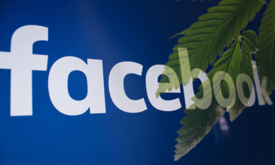 Facebook Confirms Ban on CBD and Hemp Advertising