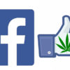 Facebook Will Stop Shadowbanning Cannabis Pages