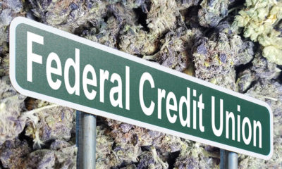 Federal Credit Union Will Serve Recreational Cannabis Businesses