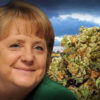 Germany Is Looking For Legal Medical Marijuana Growers
