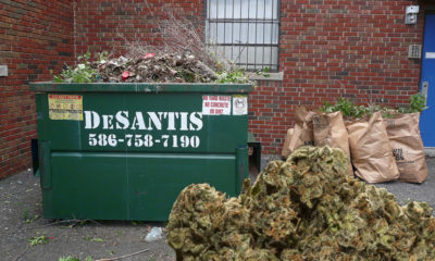 Cannabis Grower Loses License Over Weed Scraps Found By Dumpster
