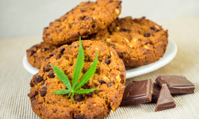 Hawaii Could Soon Allow The Sale Of Medical Cannabis Edibles