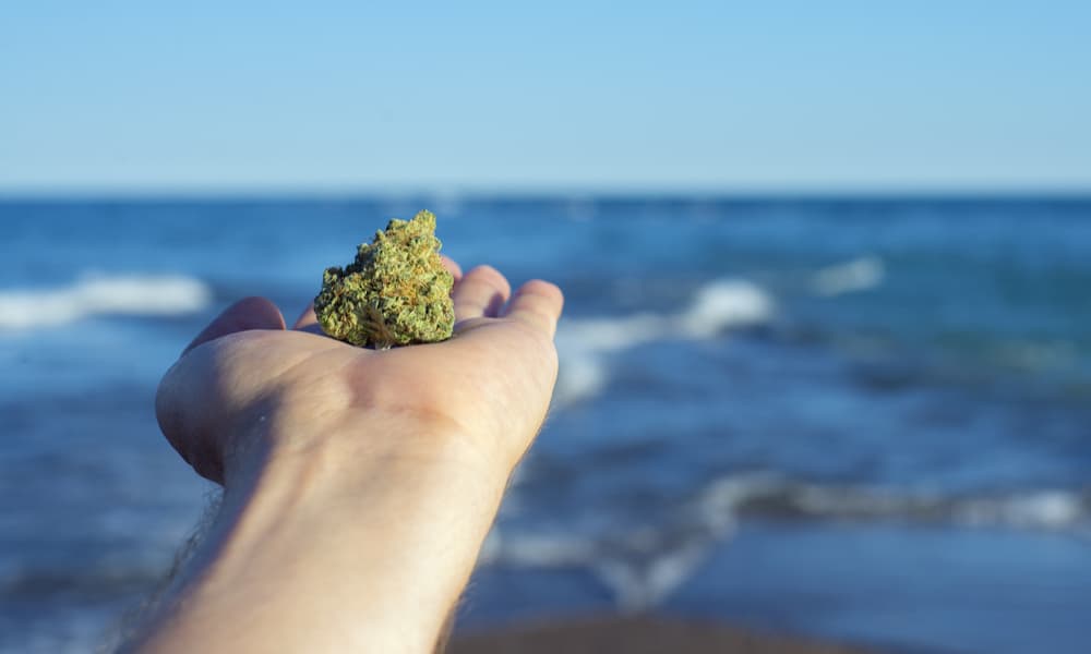 Hawaii Decriminalizes Possession of Small Amounts of Marijuana