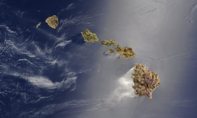 Hawaii Now Accepts Out-of-State Medical Cannabis Patients