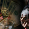 Illinois is Going to Tax Recreational Marijuana Based on THC Content