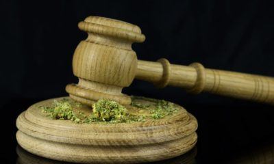 Illinois Recreational Marijuana Bill to Clear 770,000 Convictions