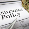 International Insurance Brokerage Now Offering Cannabis Coverage
