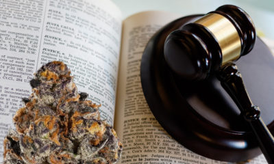 Judge Restores Medical Marijuana Provider License Revoked by State