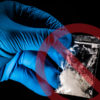 Lab Test Shows 'Fentanyl Laced Weed' Police Found Had No Fentanyl