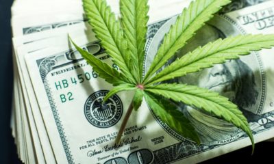 Legalizing Marijuana in Wisconsin Could Yield $1.1B in Cash Flow